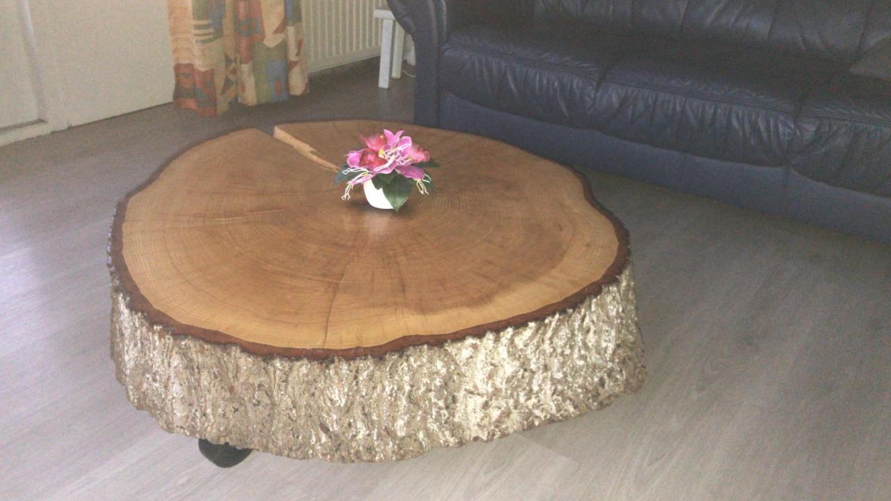 52 Horalaan Villa Bennekom Dış mekan fotoğraf